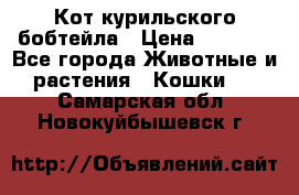 Кот курильского бобтейла › Цена ­ 5 000 - Все города Животные и растения » Кошки   . Самарская обл.,Новокуйбышевск г.